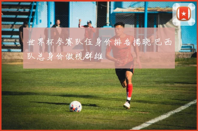 世界杯参赛队伍身价排名揭晓 巴西队总身价傲视群雄