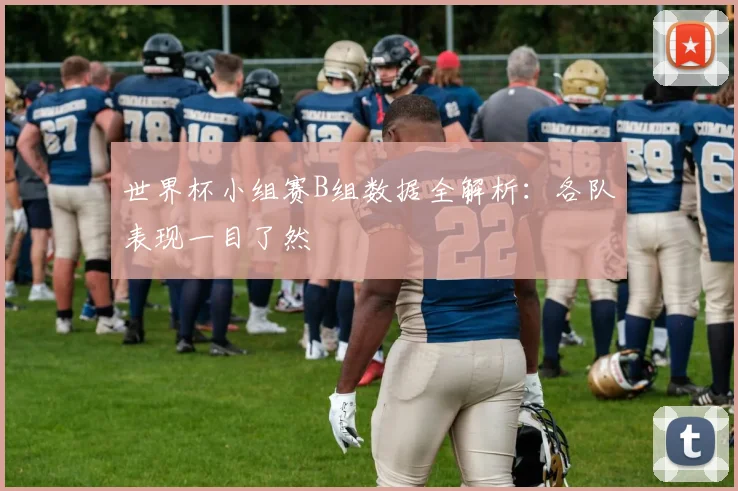 世界杯小组赛B组数据全解析：各队表现一目了然