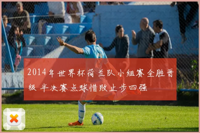 2014年世界杯荷兰队小组赛全胜晋级 半决赛点球惜败止步四强