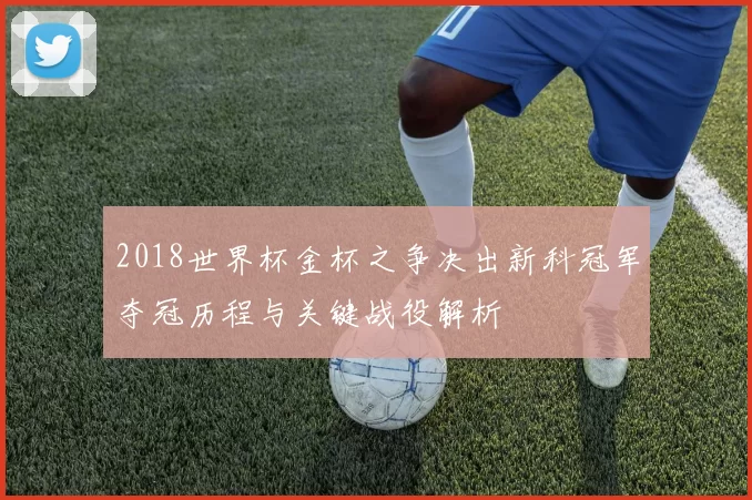 2018世界杯金杯之争决出新科冠军夺冠历程与关键战役解析