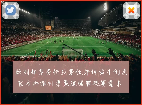 欧洲杯票务供应紧张并伴黄牛倒卖 官方加推补票渠道缓解观赛需求