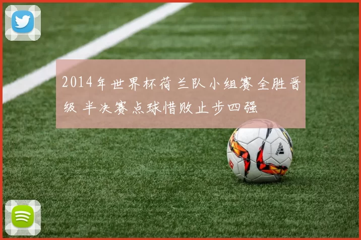 2014年世界杯荷兰队小组赛全胜晋级 半决赛点球惜败止步四强
