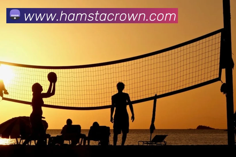 mksports官方网站平台生态图