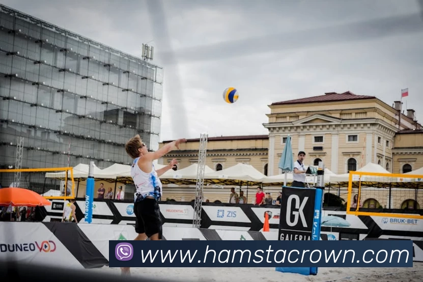 mksports官方网站全站App mksports官方网站全站App